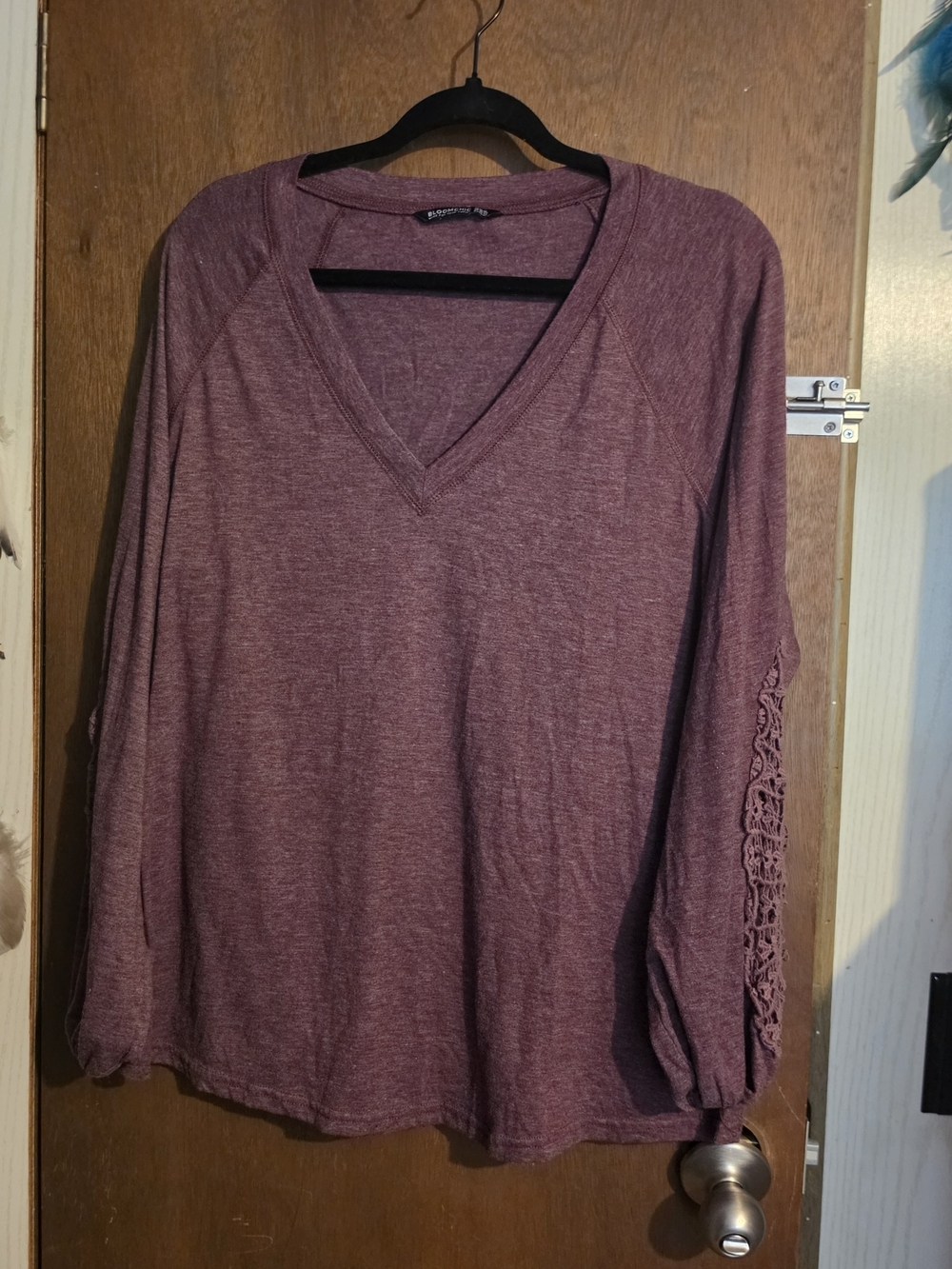 BloomChic Dusy Pink V-Neck Long Sleeve Top with Crocet Lace Accent